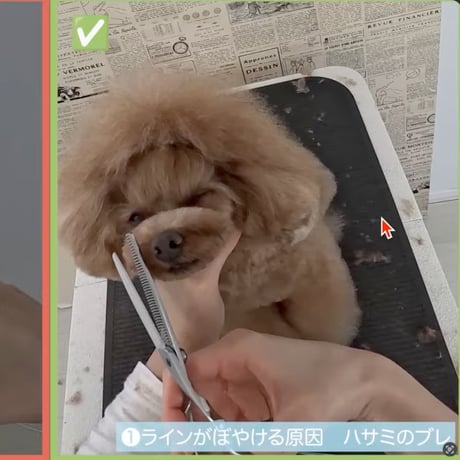 「正確なハサミの使い方」セミナーアーカイブ