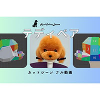 テディウィッグカット　２アングル　フル動画
