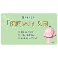 韓国テディ 入門 　アーカイブ