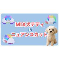 MIXテディ&ニュアンスセミナーアーカイブ