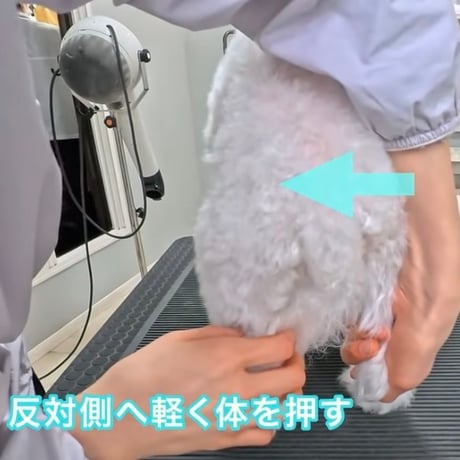 『綺麗なカットの前提条件』アーカイブ