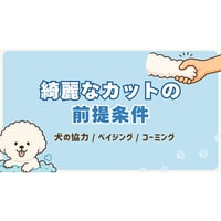 『綺麗なカットの前提条件』アーカイブ