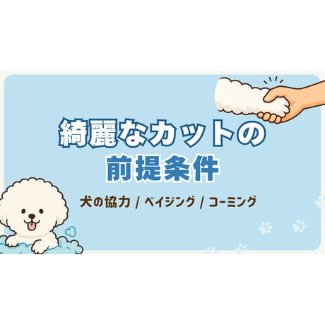 『綺麗なカットの前提条件』アーカイブ
