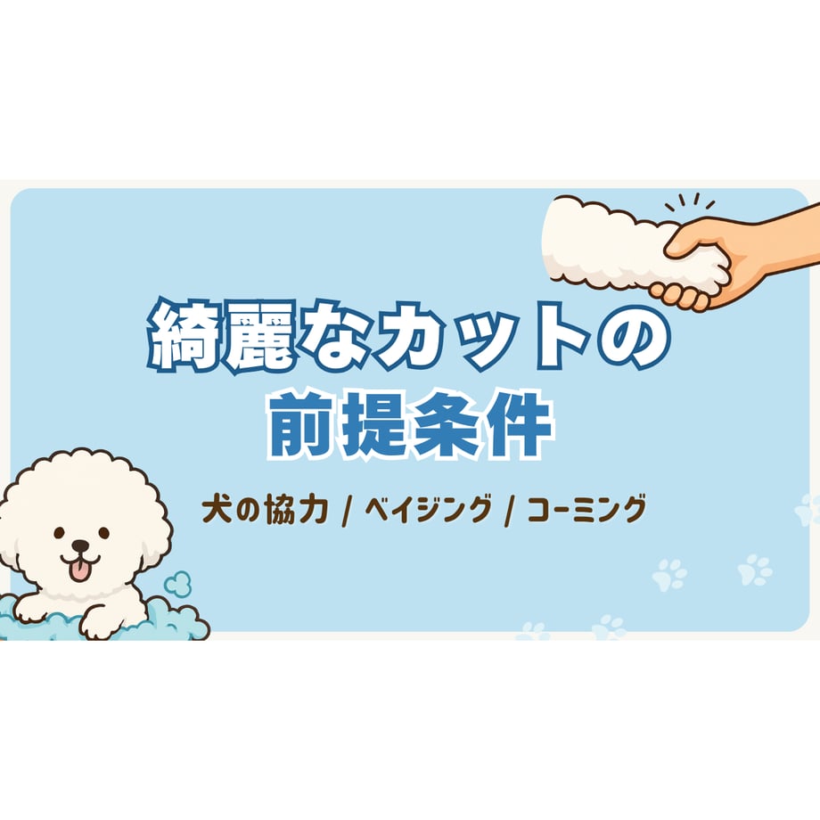694b955aefd70e167492db2d
