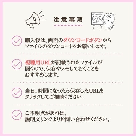 韓国テディ 入門 　アーカイブ