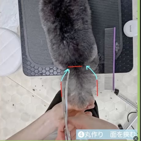 「正確なハサミの使い方」セミナーアーカイブ