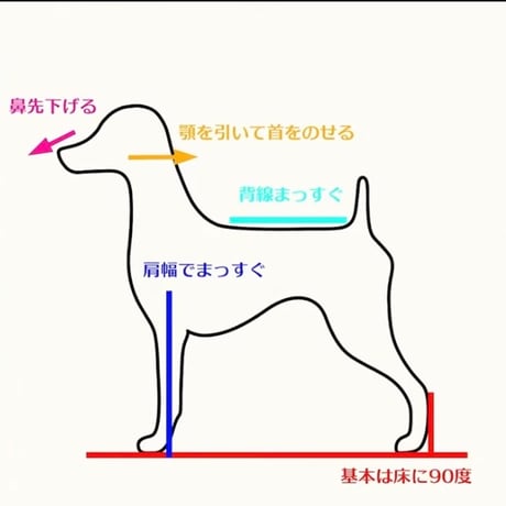 『綺麗なカットの前提条件』アーカイブ