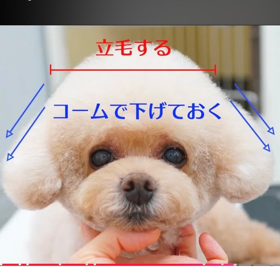 694b955aefd70e167492db2d
