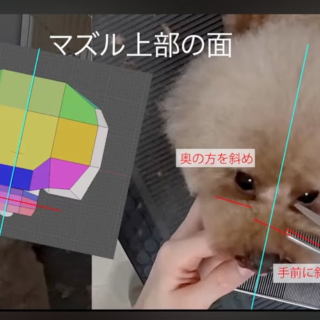 「正確なハサミの使い方」セミナーアーカイブ