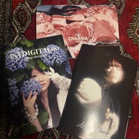 4枚限定 YURELIC10ランダムチェキ yuriyuri YURELIC11ランダムチェキ