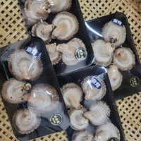 原木生しいたけ「京ぽんぽん」（500g）／ 京都府産　原木栽培　農薬不使用