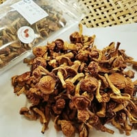 乾燥滑子 なめこ （50g/1袋）／ 京都府産 菌床栽培 農薬不使用