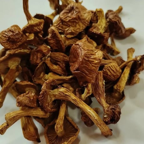 乾燥滑子 なめこ （50g/1袋）／ 京都府産 菌床栽培 農薬不使用