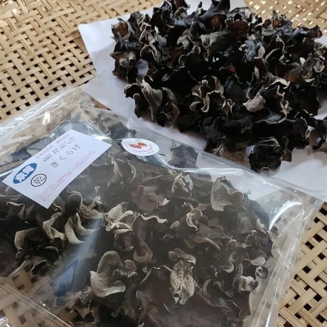 乾燥木耳 きくらげ （76g/1袋）／ 京都府産 菌床栽培 農薬不使用