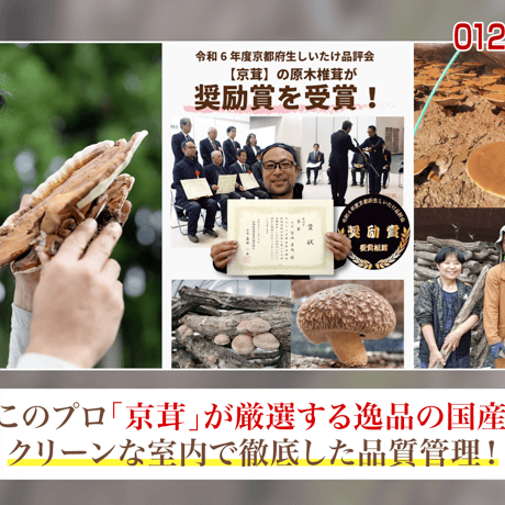 【お買い得】乾燥霊芝 れいし（スライス/300g/2袋）／ 広島県産 菌床栽培 農薬不使用