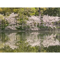 【誰かの写真】名もなき写真家3 作品No.6