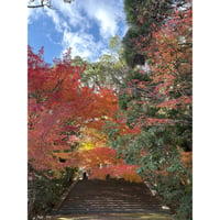 【誰かの写真】名もなき写真家3 作品No.10