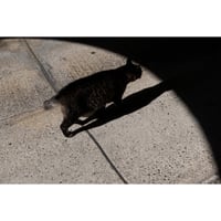【誰かの写真】名もなき写真家0 作品No.32