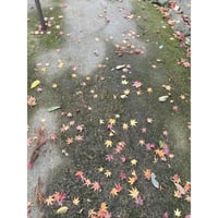 【誰かの写真】名もなき写真家3 作品No.9