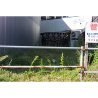 【誰かの写真】名もなき写真家0 作品No.11