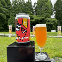 FALL MAN/Pale ale