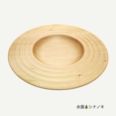 手然[TESHICA]　水面　23cm