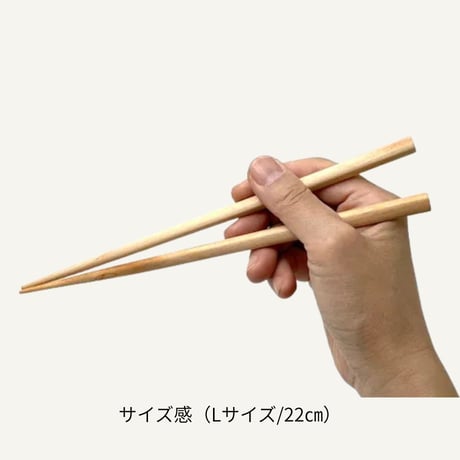 森と暮らすうつわ coberu　夫婦箸ギフト