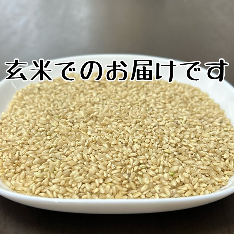 送料無料】玄米24.7㎏ (北海道と沖縄配送用) 栽培期間中農薬不使用 