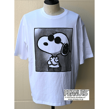 joecool | STORES