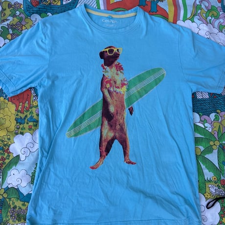 ミーアキャット　4枚 ミーアキャット 01S / 01C – JEKCA-SHOP