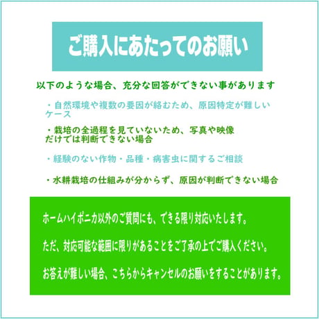 🍅とまとん母さんの水耕栽培・個別相談