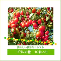 プラレの種10粒