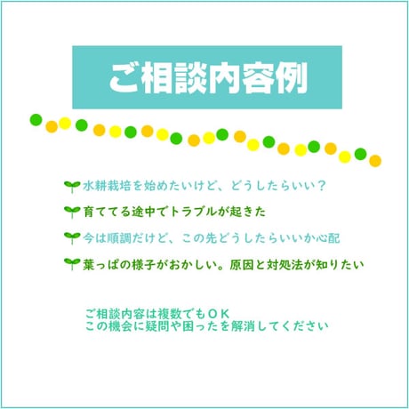 🍅とまとん母さんの水耕栽培・個別相談