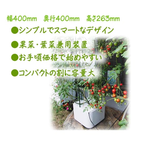 ホームハイポニカMASUCO（マスコ）