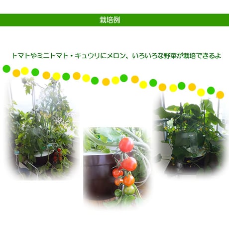 ホームハイポニカぷくぷくⅡ