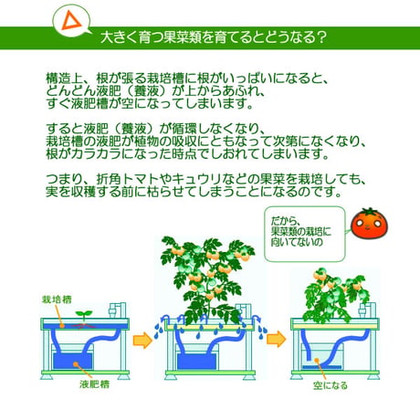 ホームハイポニカPLAABOプラーボ