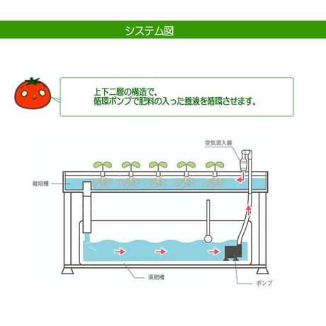 ホームハイポニカPLAABOプラーボ