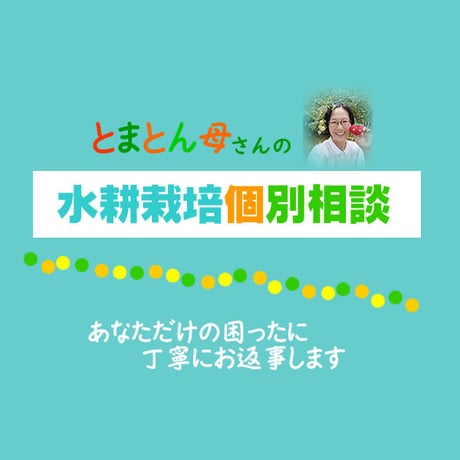 🍅とまとん母さんの水耕栽培・個別相談