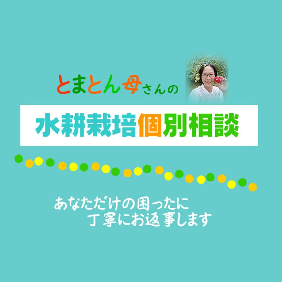 68c62a6bf90f20d6cef5c388