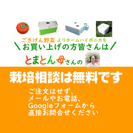 🍅とまとん母さんの水耕栽培・個別相談