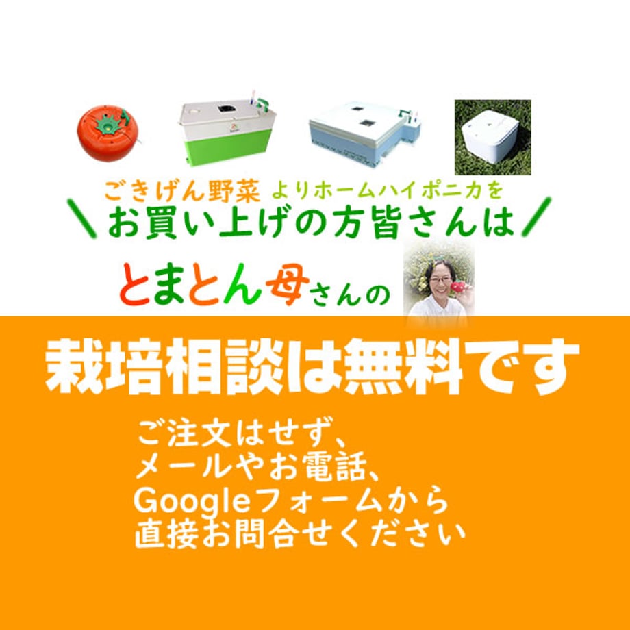 68c62a6bf90f20d6cef5c388