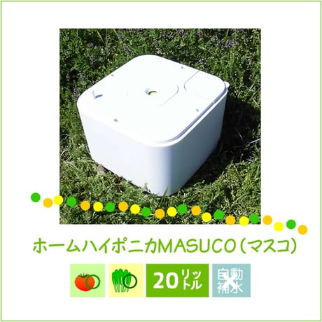 ホームハイポニカMASUCO（マスコ）