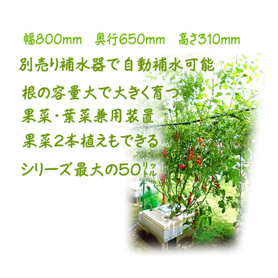 689ec70c2630760001c58b4c