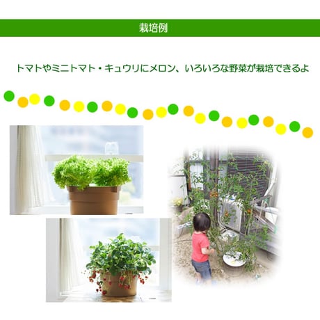 ホームハイポニカぷくぷくⅡ