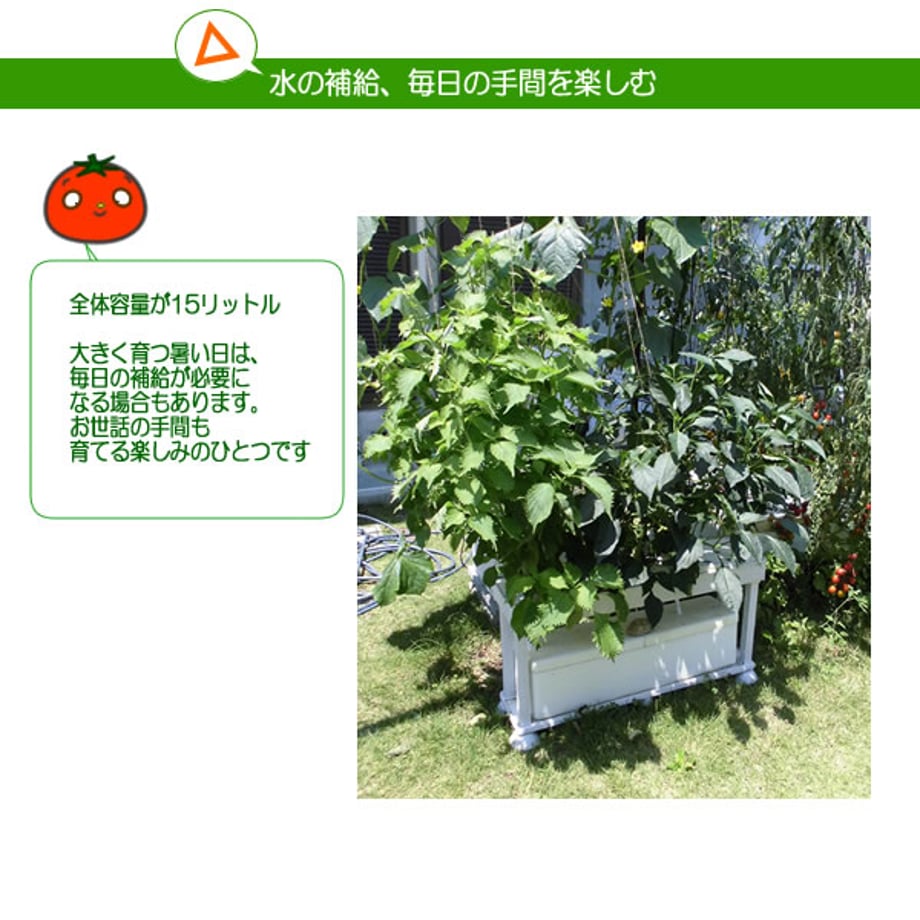 689ec70d2630760001c58b54