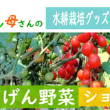 ごきげん野菜　＼水耕栽培で家庭菜園／