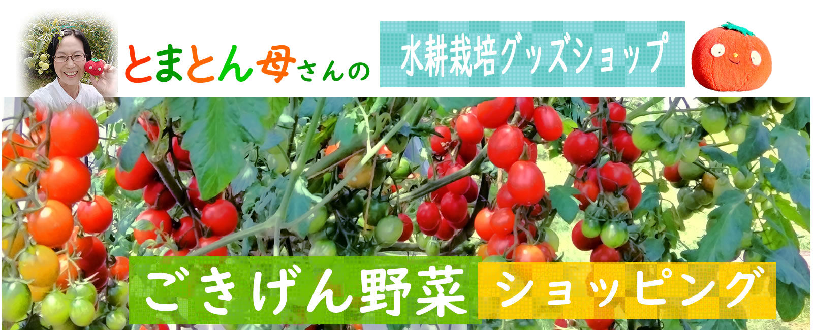 ごきげん野菜　＼水耕栽培で家庭菜園／