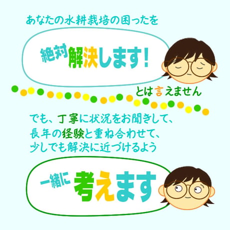 🍅とまとん母さんの水耕栽培・個別相談