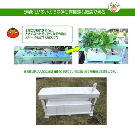ホームハイポニカPLAABOプラーボ