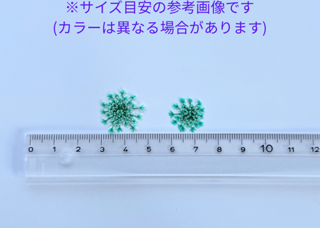 レースフラワー・ピンクセット
